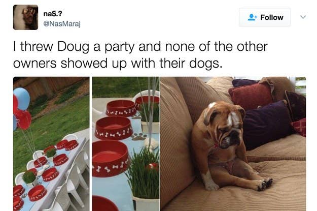 Show Us Your Humanlike Dogs