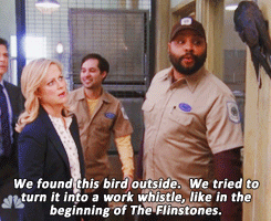 Brett and Harris from Animal Control