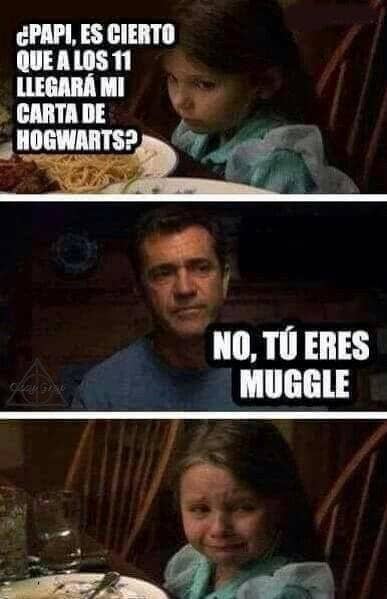 100 Memes de Harry Potter tan mágicos que te matarán de risa