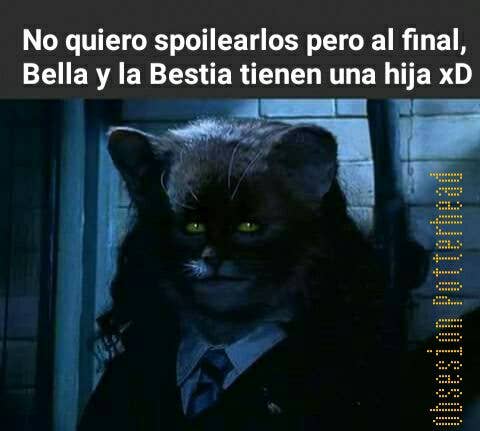 Top memes de Harry Potter Meme en español :) Memedroid