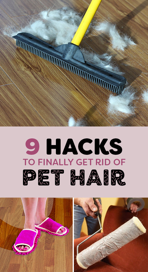 9 Life Saving Hacks For Removing Pet Hair From Everywhere