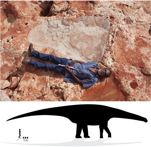 dinosaur print found