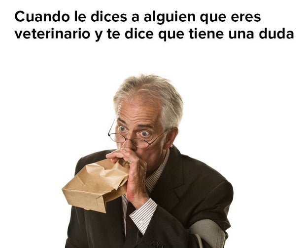 Como Hacer Para Que Mi Periquito No Me Tenga Miedo
