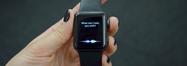 smartwatch siri