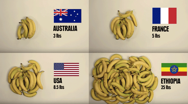 Here's how many bananas you can buy for $5 in different countries: