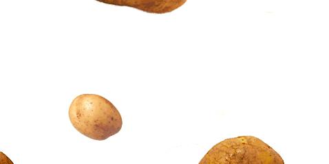 100% Potato Crazy