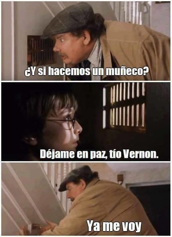 100 Memes de Harry Potter tan mágicos que te matarán de risa