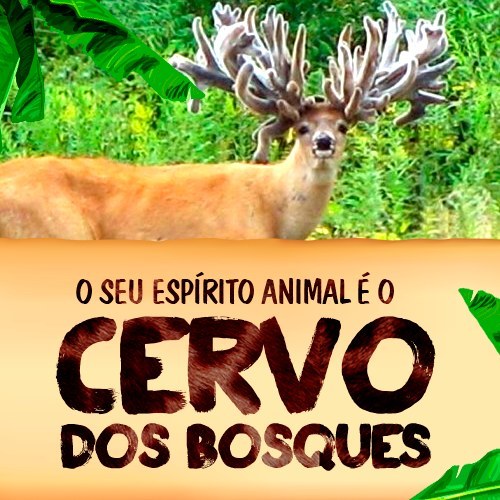 CERVO DOS BOSQUES