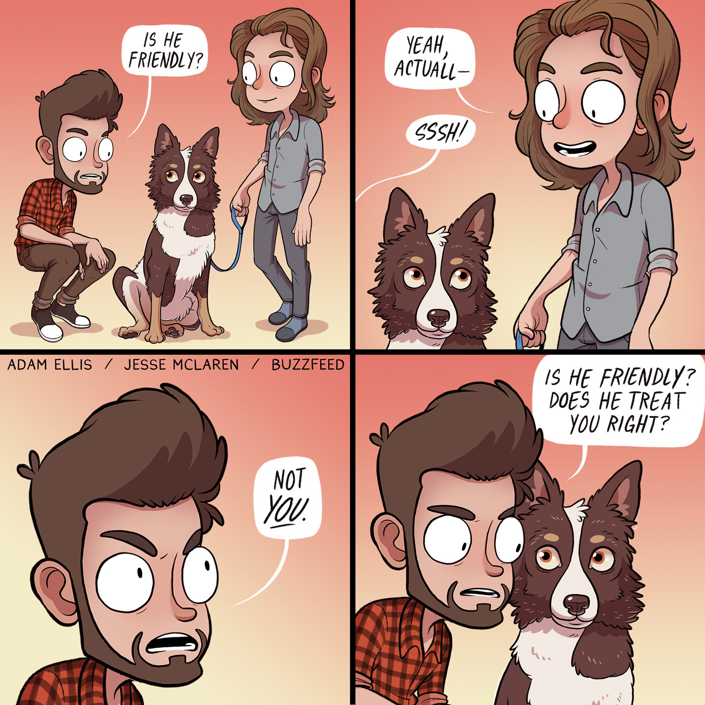 10 Things Dogs Hate That People Do