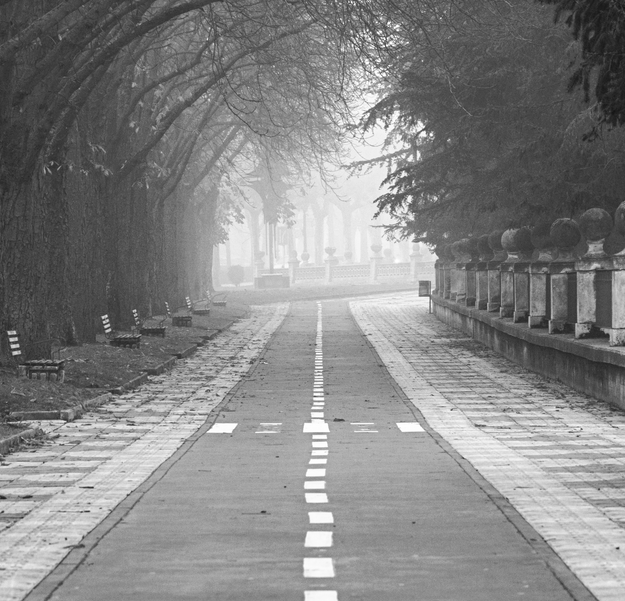 El 7 de junio de 2004, un matrimonio y su hijo de 12 años fueron asesinados a cuchilladas en su casa en Burgos. Salvador Barrio, de 53 años, recibió un total de 50 puñaladas, Julia dos Ramos, de 47, recibió 17 y el hijo de ambos, Álvaro, recibió 32 puñaladas. La policía, después de descartar motivos económicos, empezó a sospechar de Rodrigo, el otro hijo de 16 años del matrimonio, al que su padre había llevado aquella misma noche al autobús que le llevaba a un internado de Aranda del Duero donde estudiaba. Rodrigo era un chico conflictivo, sus padres lo habían manifestado así en más de una ocasión y los vecinos estaban al tanto. Sin embargo, aunque Rodrigo fue detenido no tardó en ser puesto en libertad. Por un lado, no tenían pruebas suficientes para inculparle y por otro, no imaginaban a aquel chaval de 16 años cometiendo un 'crimen perfecto' (el asesino solamente dejó una huella de su zapatilla) y con tantísimo ensañamiento. El crimen sigue sin resolverse.