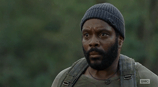 Every person's reaction when Green asks a question.