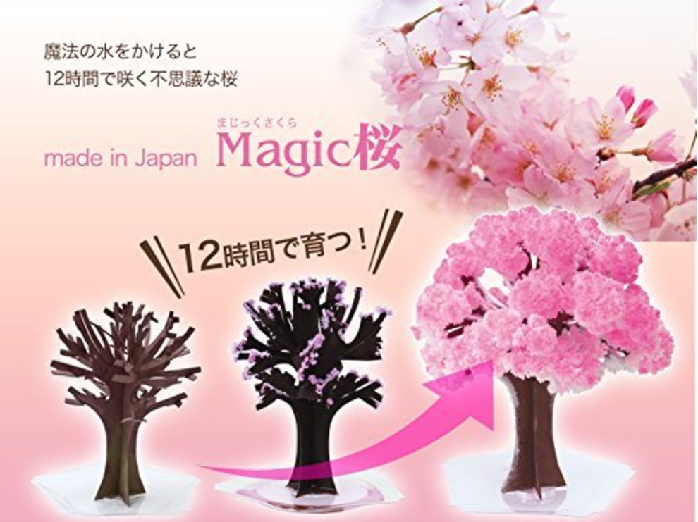 ヘイ 週末は雨だぜ さっそくだが家でお花見をするための装備を紹介しよう