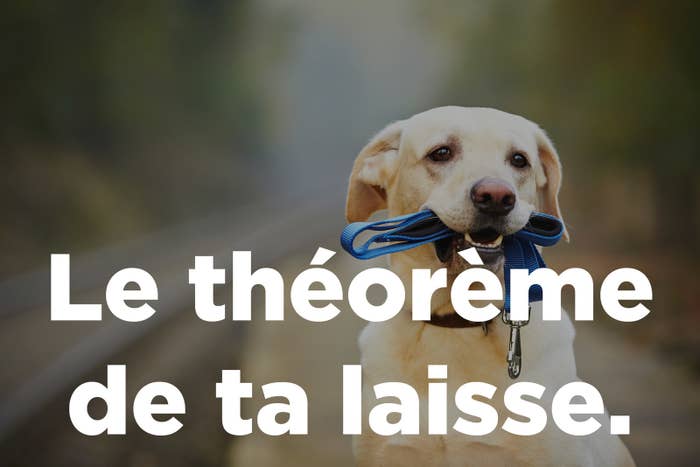 Avoir Images 18 Blagues Pourries Qui Feront Rire Tous Les S dernière salutations
