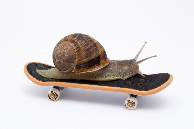 Skaterboi