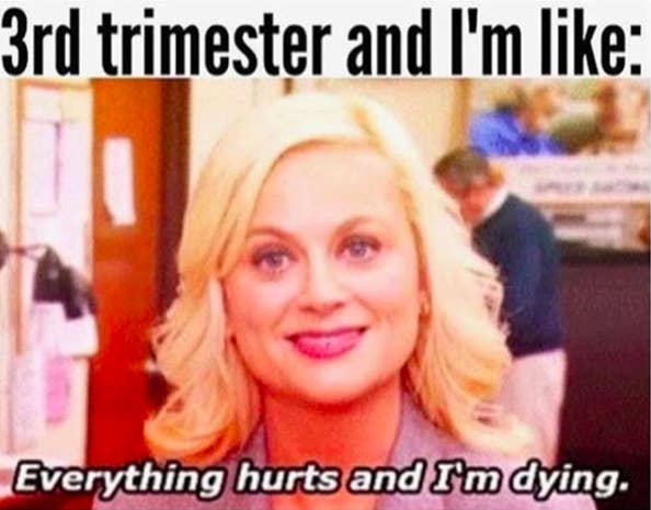 50 Funny Pregnancy Memes That Will Make You Pee Without Even Sneezing 50 Funny Pregnancy Memes That Will Make You Pee Without Even Sneezing