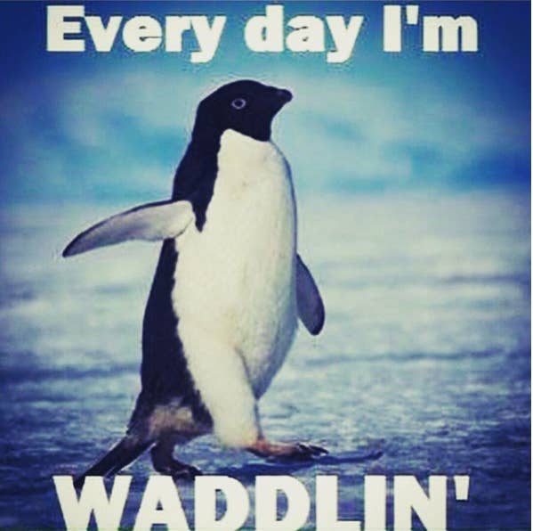 50 Funny Pregnancy Memes That Will Make You Pee Without Even Sneezing