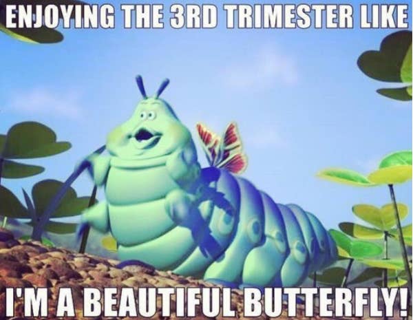 50 Funny Pregnancy Memes That Will Make You Pee Without Even Sneezing 50 Funny Pregnancy Memes That Will Make You Pee Without Even Sneezing