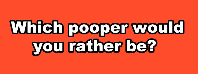 10 Poop Horror Story Would You Rather Questions That Are Impossible To  Answer