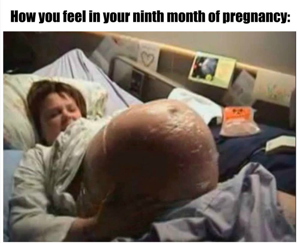 50 Funny Pregnancy Memes That Will Make You Pee Without Even Sneezing 50 Funny Pregnancy Memes That Will Make You Pee Without Even Sneezing