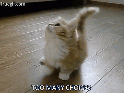 Do I go to "Anthropology of Mythological Monsters" or "Victorian Vices: Recreational Drugs in the Victorian Era"?