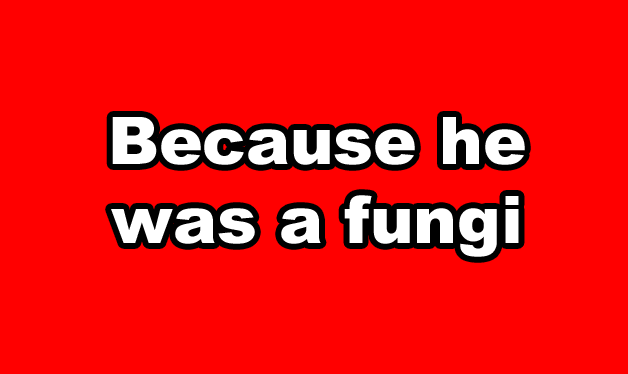 Because he was a fungi