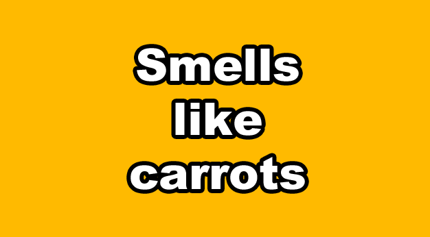 Smells like carrots