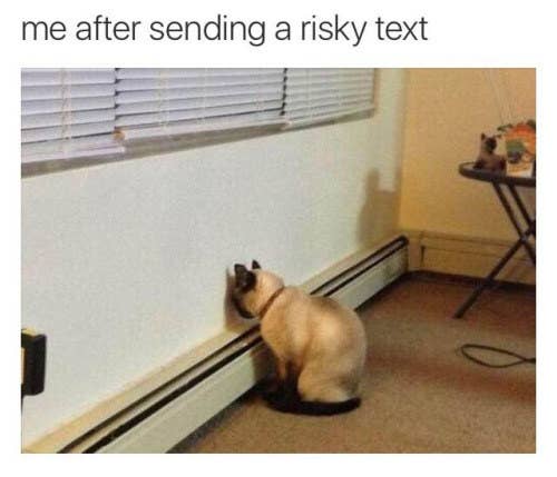 17 Feelings You Ve Had If You Ve Ever Sent A Risky Text 17 Feelings You Ve Had If You Ve Ever Sent A Risky Text
