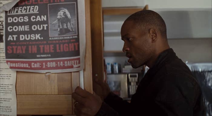 Image result for "i am legend" food cabinet