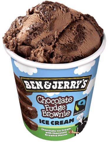 Chocolate Fudge Brownie