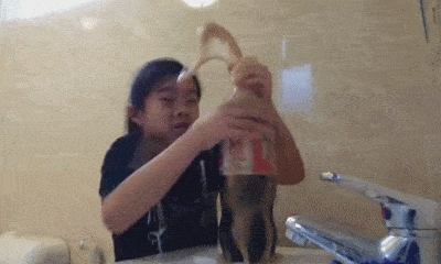 Soda Sucker
