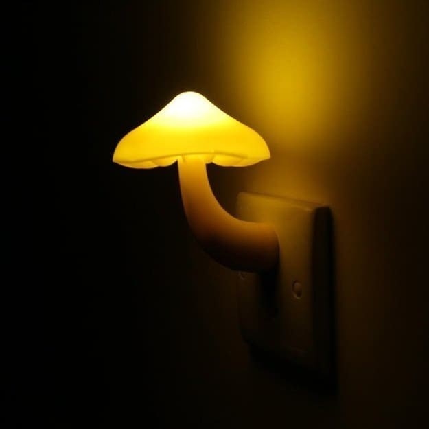 A magical mushroom for your dreamy room.Price: $5.99 Get it from here