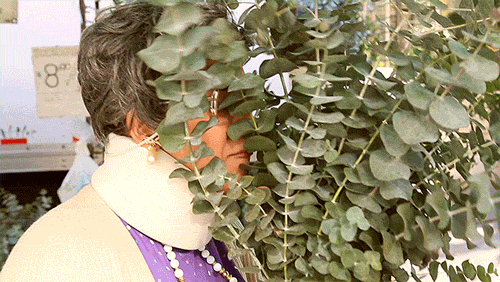 Local, organic kale > drunk nachos.