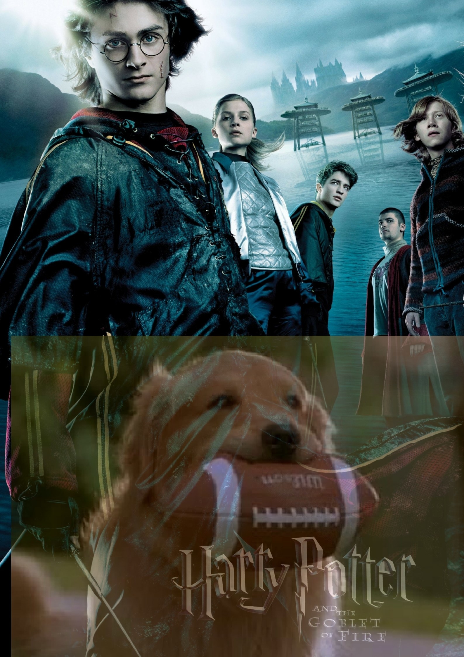 We all know the Triwizard Tournament is where Air Bud would shine the most. For the record, he's a Gryffindor.
