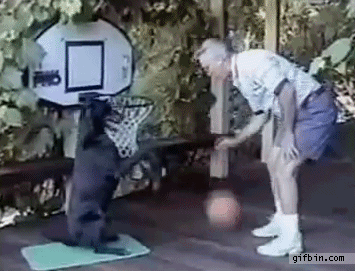Your baby is still working on her layup game.