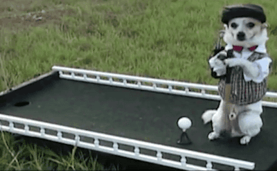 Sure, he missed, but while we're being honest, your baby wears a diaper and this dog doesn't.