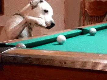 Your baby probably doesn't even know how to play 8 Ball.