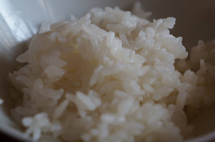 もう二度と米はつくれない いや できる 福島 元ヤン農家の挑戦