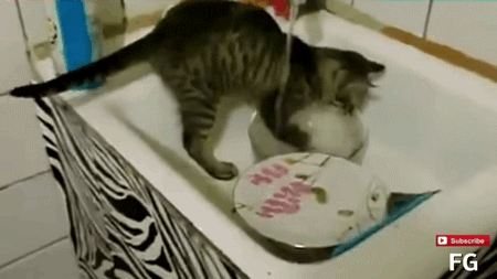 Dishwashers are not environmentally friendly. They use way too much energy and water than is necessary. For just a few dishes, Oscar will be more than willing to help you out.
