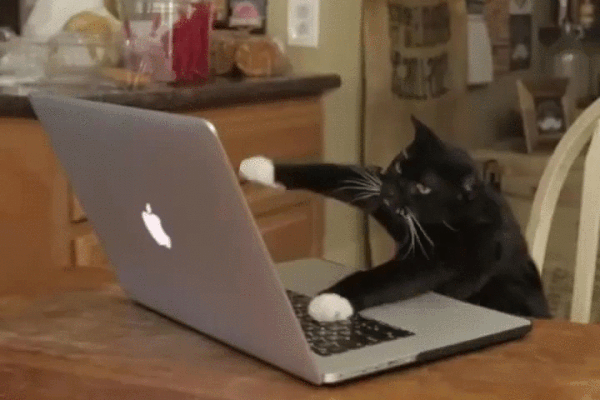 So you got caught up with some other things. A party, shopping, getting coffee with friends, having a much needed nap. That's when it hits you that you totally forgot about those documents for your boss, which are due tomorrow morning. Have no fear, Socks is here to help.