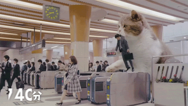 The Japanese are innovative and way ahead of Western cultures. They even have Godzilla like cats guiding office workers to their place of work. How sweet is that? Forget guide dogs, guide cats are where it's at.