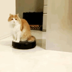 Sure you can leave it up to your Roomba to do all the dirty work for you. However, how do you know that it's clearing away all your unwanted crumbs, dust and hair from your floors? Ladies and Gentlemen let us introduce you to Charlie, the first ever robot vacuum slave driver.