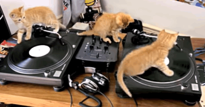 The next time you are out listening to some beats at your favorite music hotspot, take a close look at the DJ booth. The music industry and Jay Z have some fierce competition.