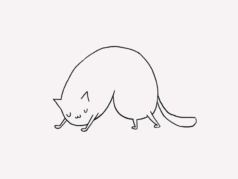 Why waste hundreds of dollars on Yoga lessons when you can get them for free from your feline companion?