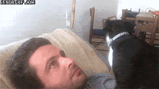 Can't make that trip to the dentist, but have an unbearable toothache? Don't worry, Kitty can take good care of you.