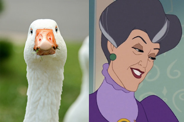 Your Favorite Disney Villain Will Reveal Which Sinister Animal You Are