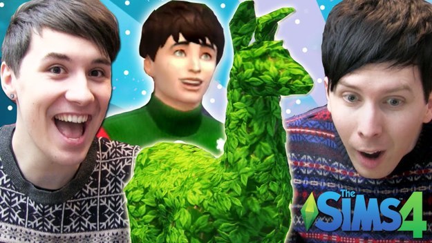 The Llama bush