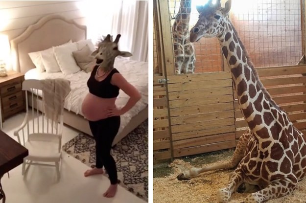 This Pregnant Woman Imitated April The Giraffe And People Could Not Handle It