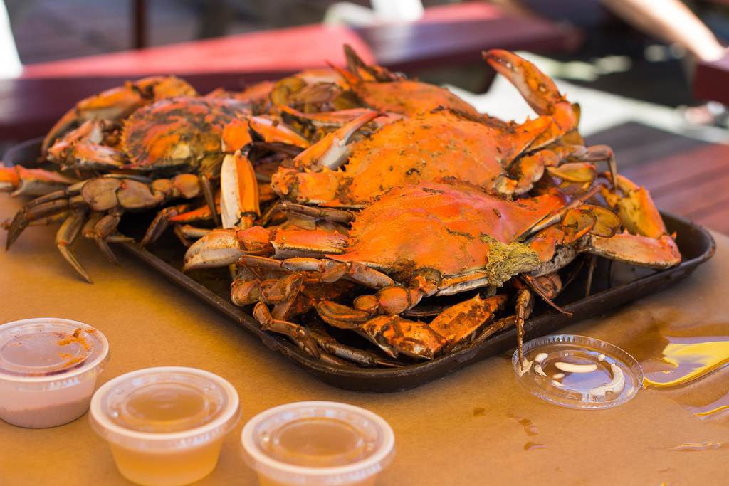 Places To Eat Crabs In Baltimore ~ hyobindesign