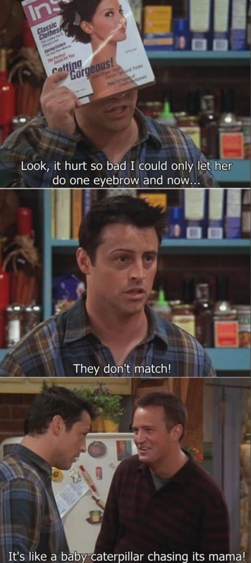 chandler and joey quotes