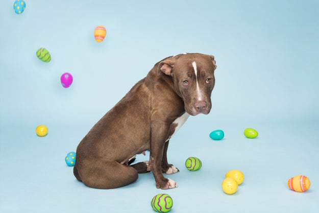 "So, I hide these, right?"